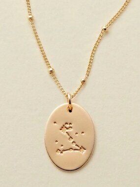 Pisces Bohemian Zodiac Minimalist Charm Necklace